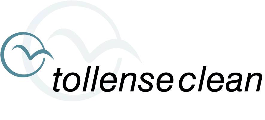Logo tollenseclean